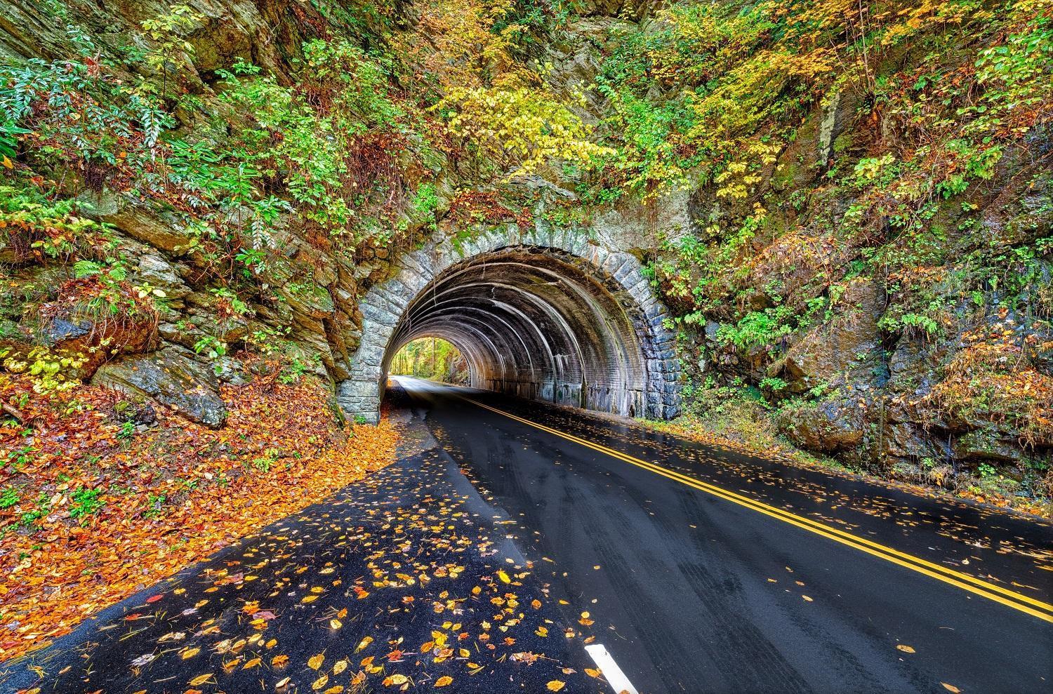 Her Majesty's Way Gatlinburg Zewnętrze zdjęcie