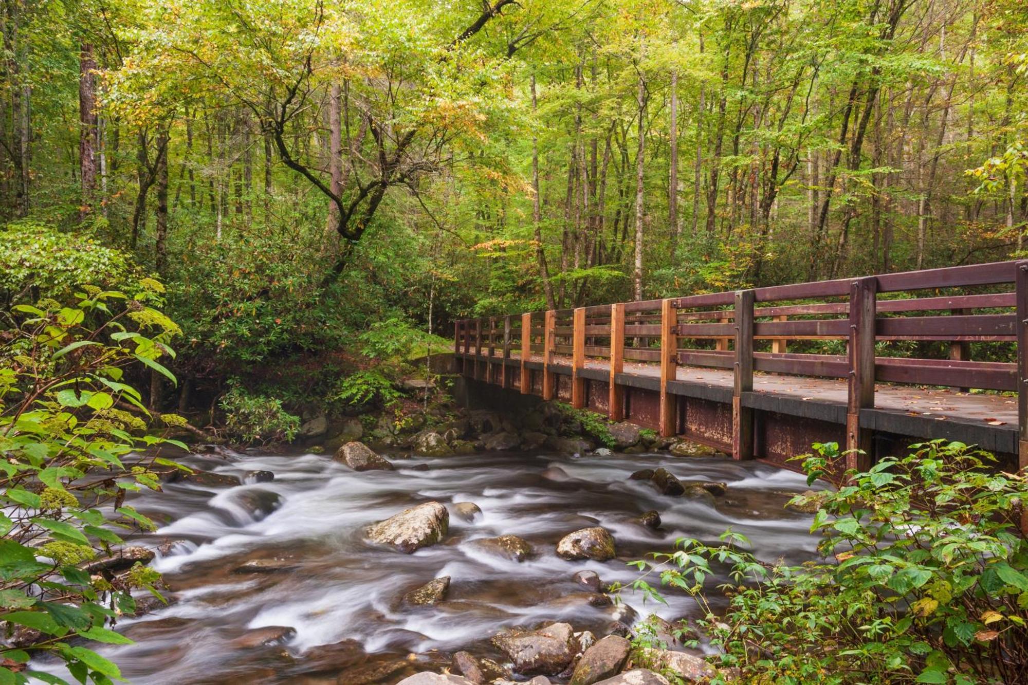 Her Majesty's Way Gatlinburg Zewnętrze zdjęcie